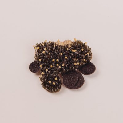 Brooch GINGER (Archive - Back to the artist)