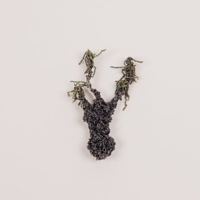 Brooch, Chained Interpretations Mendoza Brooch 01