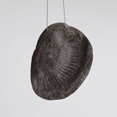 Necklace, Underneath an Island