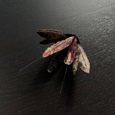 Brooch, The Other Shore #9