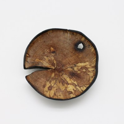 Brooch, Mushroom Project 7