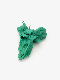 Brooch, Evolved Cast Skin Series